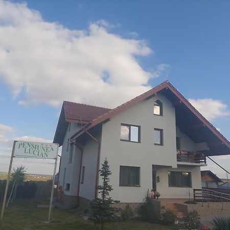 Pensiunea Lucian Baltati Exteriör bild